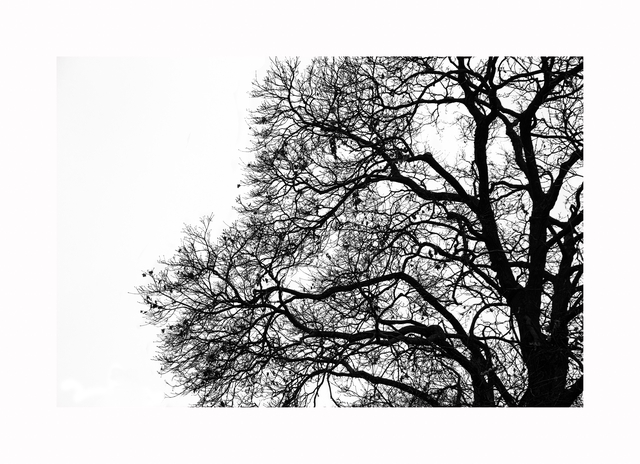 
                  
                    
                     Canon 
                     Canon EOS Rebel T7i 
                  
                  